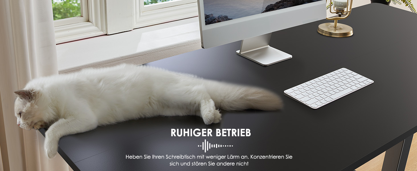 Електричний регульований стіл ErGear 140x70 см, чорний, з пам'яттю, для дому та офісу