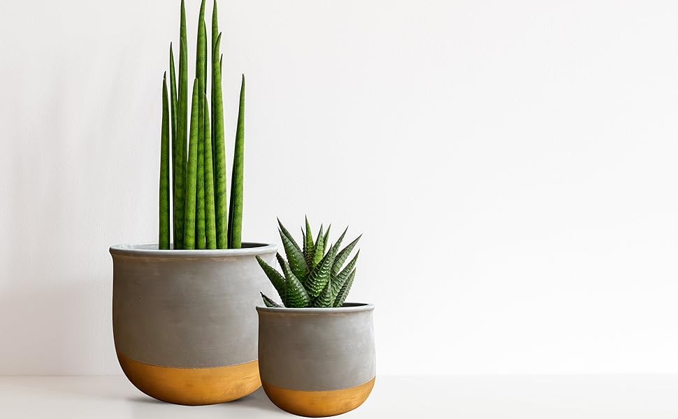 Набір керамічних горщиків Olly & Rose Gold Dip: 17 см + 12 см, для дому та саду, золотий декор