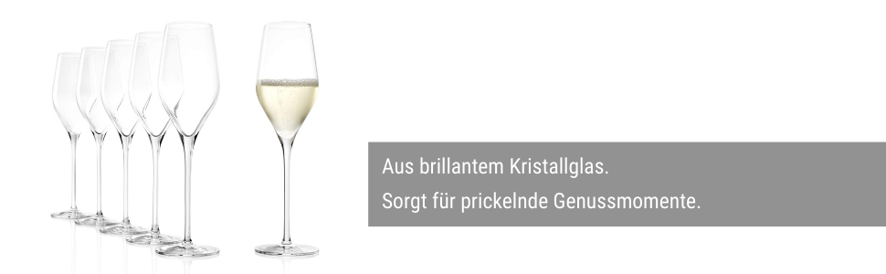 Штельцле Лаузіц вишуканий Королівські келихи для шампанського 265 мл I вишукані келихи для шампанського 6 шт. i келихи для ігристого вина 6 шт. посудомийна машина