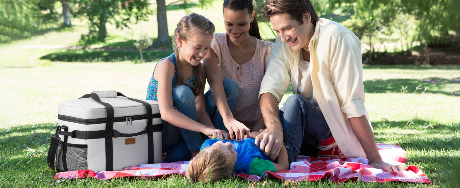 Термосумка-холодильник Lifewit 30л для пікніка, їжі та напоїв (Сріблясто-сіра) - Складана, ізольована сумка-холодильник для роботи, кемпінгу