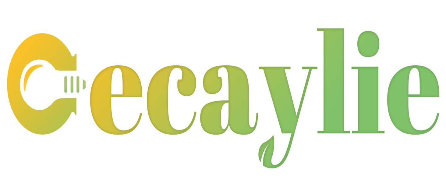 Глювайнер Cecaylie з нержавіючої сталі, 8 л, з термостатом та краном