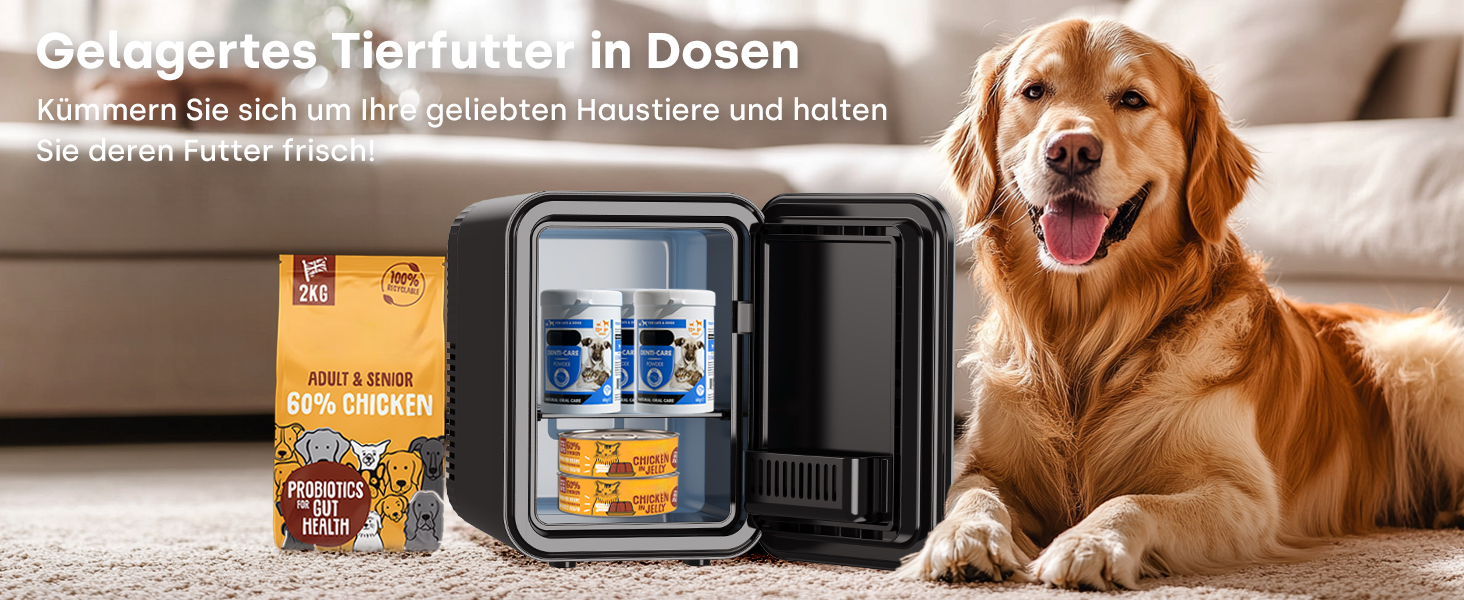 Mini холодильник Enventor 10L: портативний, з подвійним охолодженням, 12V/220V, для авто, спальні, офісу, чорний