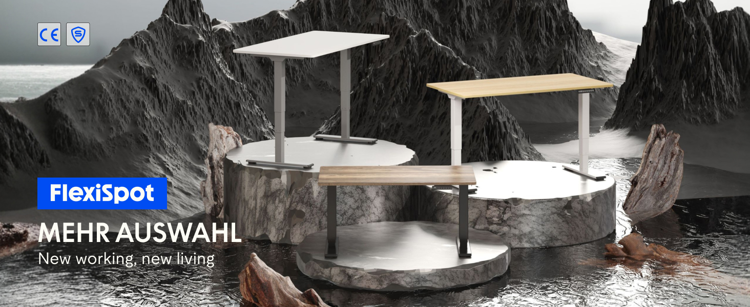 Електричний регульований стіл FLEXISPOT 120x80 см з подвійним мотором - ергономічний стоячий стіл для дому та офісу, 100 кг, тиха робота (<50 дБ), сірий + чорний