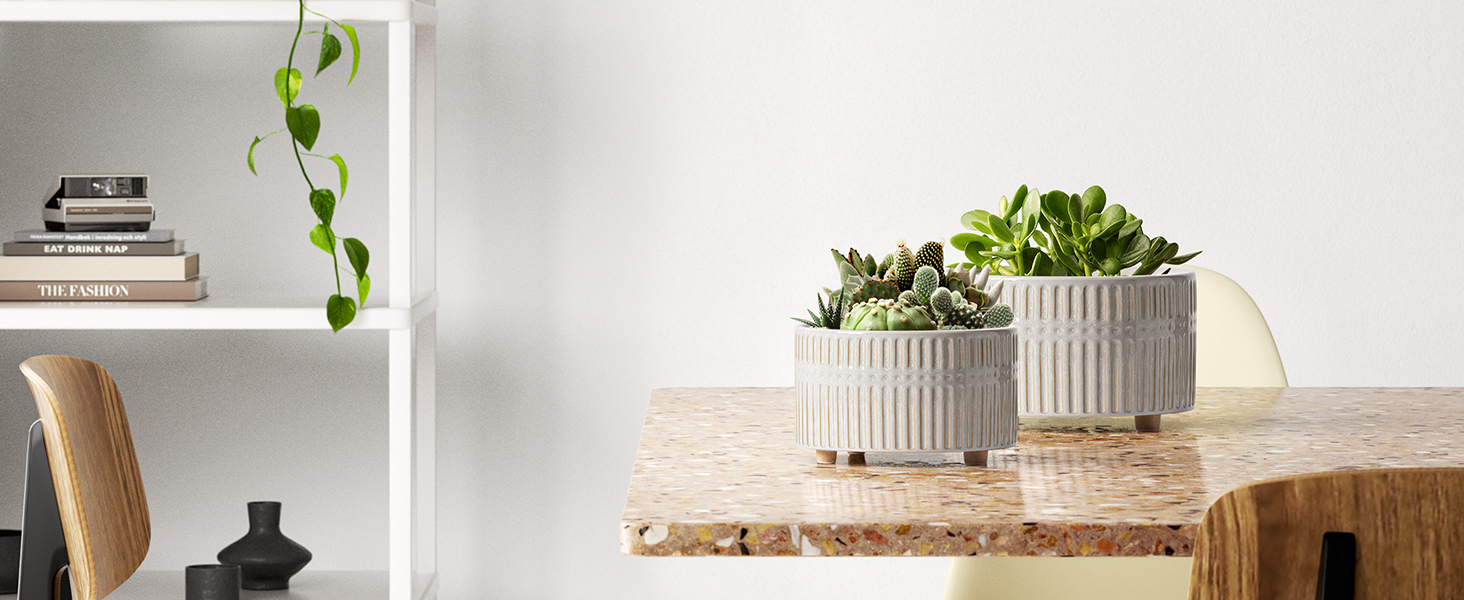 Набір горщиків для сукулентів LE TAUCI, 16,5+20 см, кераміка, з дренажними отворами, сучасний циліндричний дизайн, 2 шт. (білий зірка)