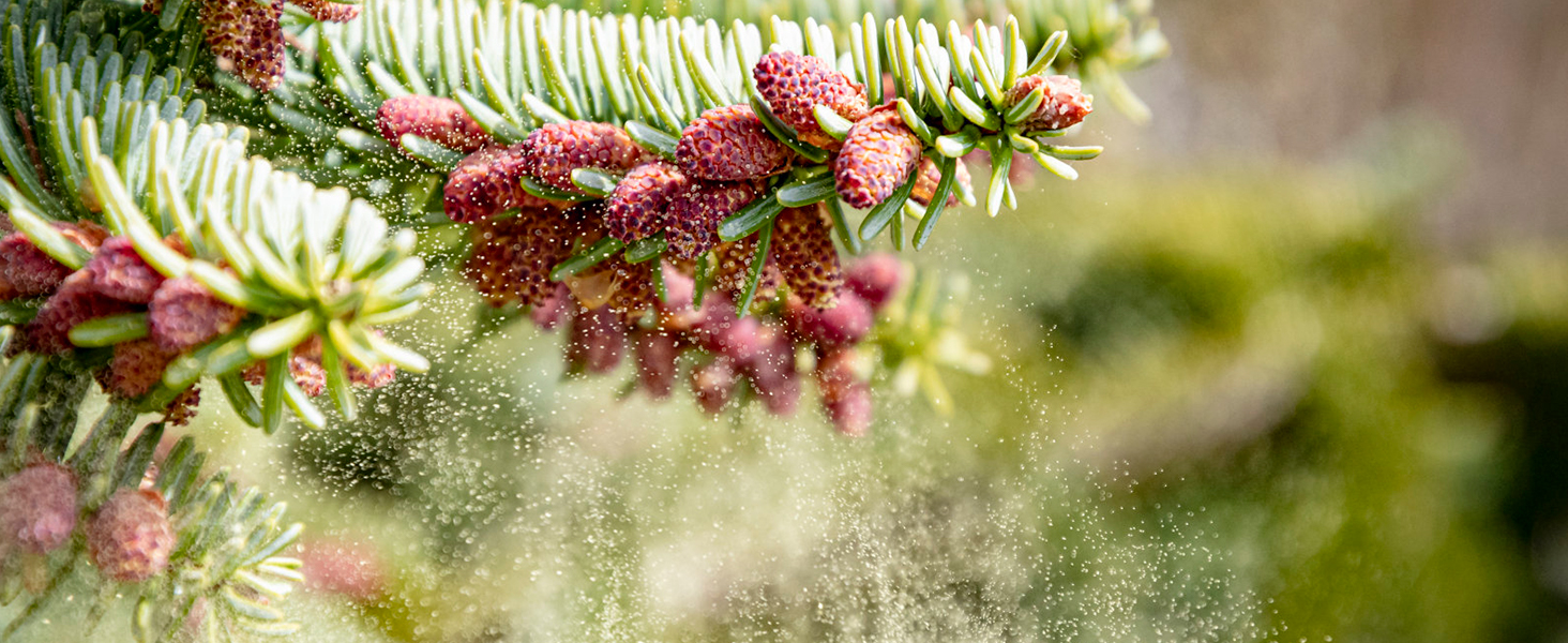 Повітряний очисник AIRTOK з ароматерапією, фільтр HEPA H13, 4-ступенева фільтрація, для алергіків, 3 швидкості