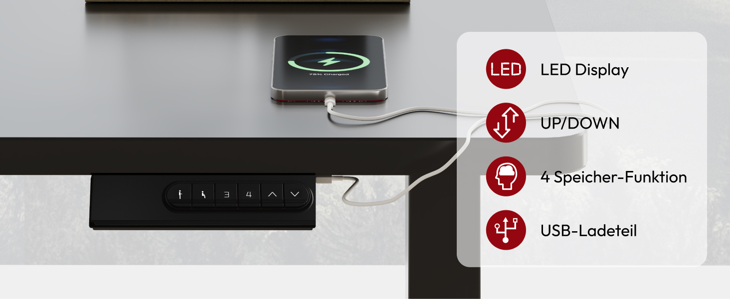 Регульований стіл Sanodesk 160x80 см білий + сірий, електричний, ергономічний, з двома моторами