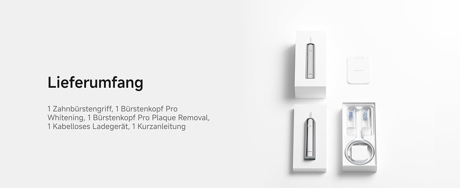 Електрична зубна щітка Laifen Wave Pro з 6 режимами, акумулятор на 70 днів, прозорий корпус (нержавіюча сталь)