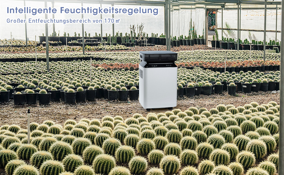 Електричний осушувач повітря з помпою: компресорний осушувач 80л/день, 8л бак, 400 м³/год, смарт гігростат, тихий, для підвалу/квартири/офісу/ванної кімнати/спальні, чорний & білий