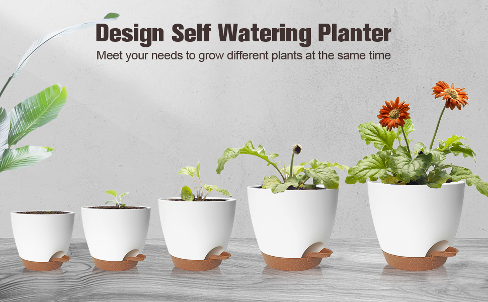 5 кашпо з пластику з системою поливу, 17.8/16.5/15.2/13.9/12.7 см. Самополивні горщики з підставкою, круглі, для квітів, сукулентів, кактусів, для дому, балкону, саду. Білий, коричневий колір