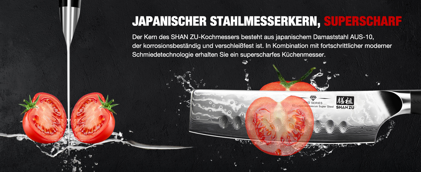 Набір кухонних ножів SHAN ZU PRO Series: ніж шеф-кухаря з дамаської сталі 67 шарів, G10 ручка, 20 см