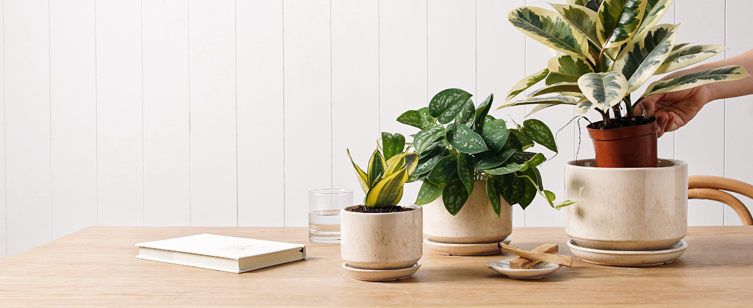 3 шт. керамічні горщики для квітів LE TAUCI, діаметр 11+13+17 см, з підставкою та дренажним отвором, для кімнатних рослин, бежевий, реактивна глазур