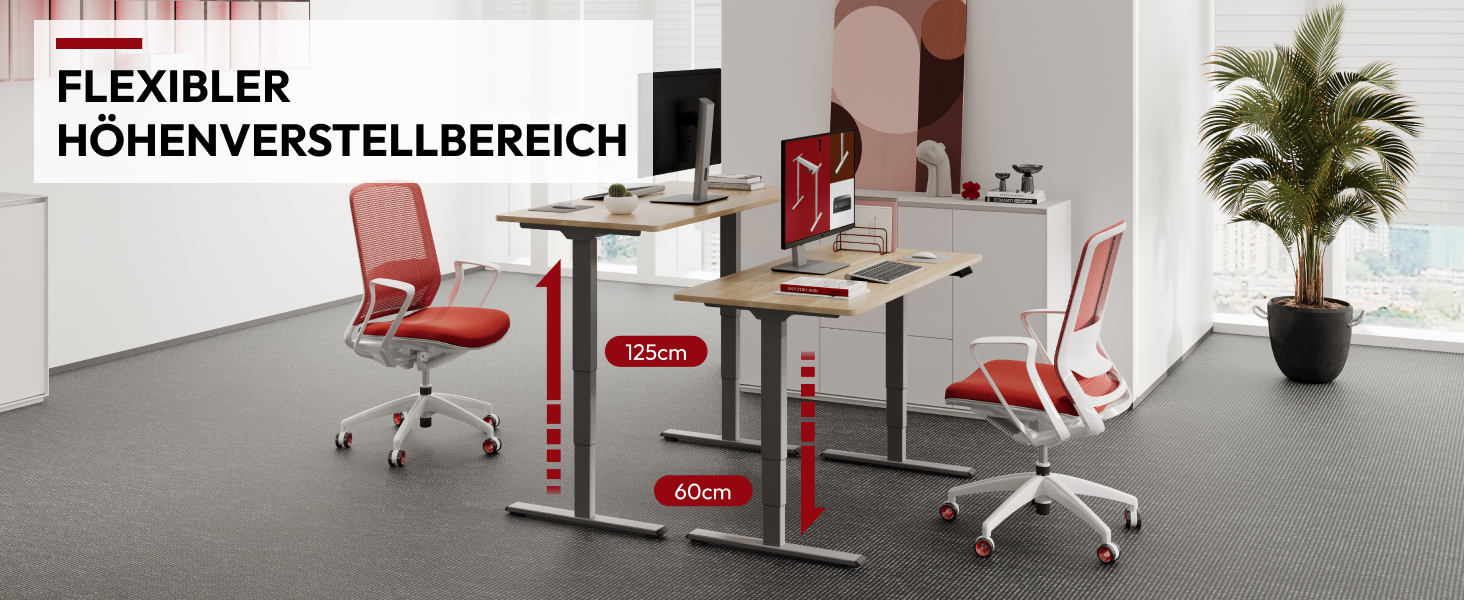 Регульований стіл Sanodesk 160x80 см білий + сірий, електричний, ергономічний, з двома моторами