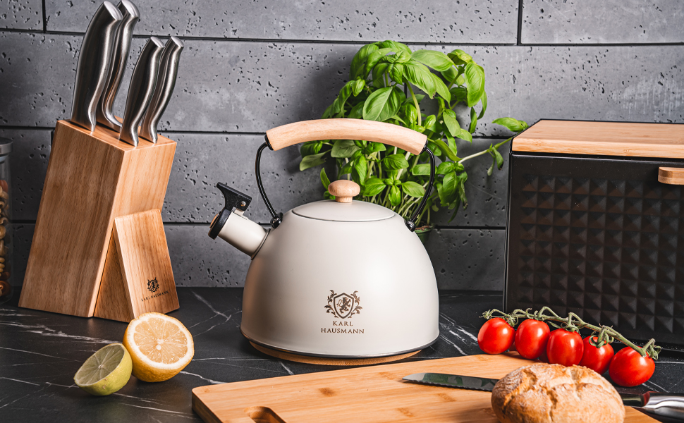 Електричний чайник Karl Hausmann 2.5L з автоматичним свистком - нержавіюча сталь, для індукційних, газових та електричних плит