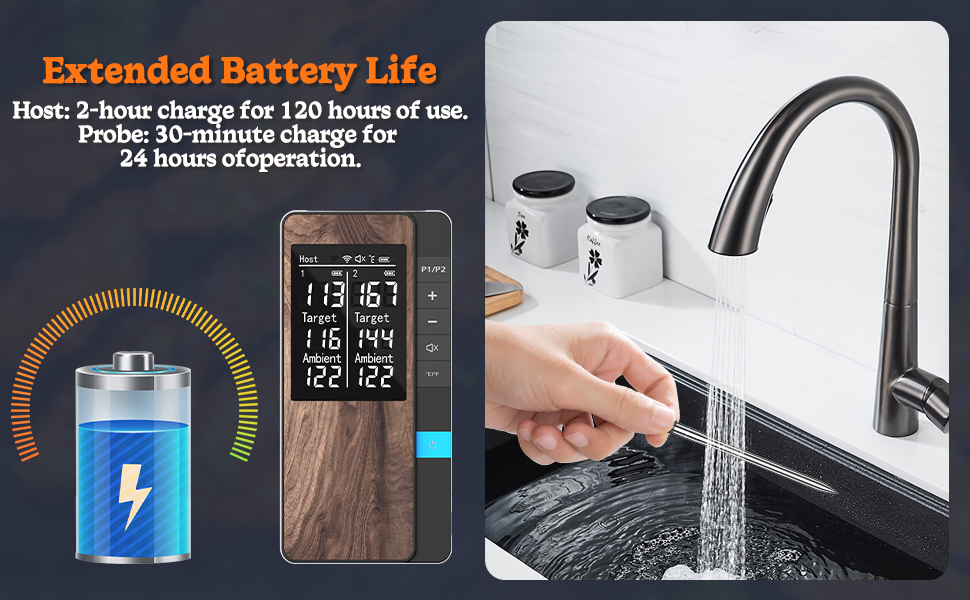 Бездротовий термометр для м'яса Pakinui з двома зондами, Bluetooth, IP67, для гриля, духовки, коптильні