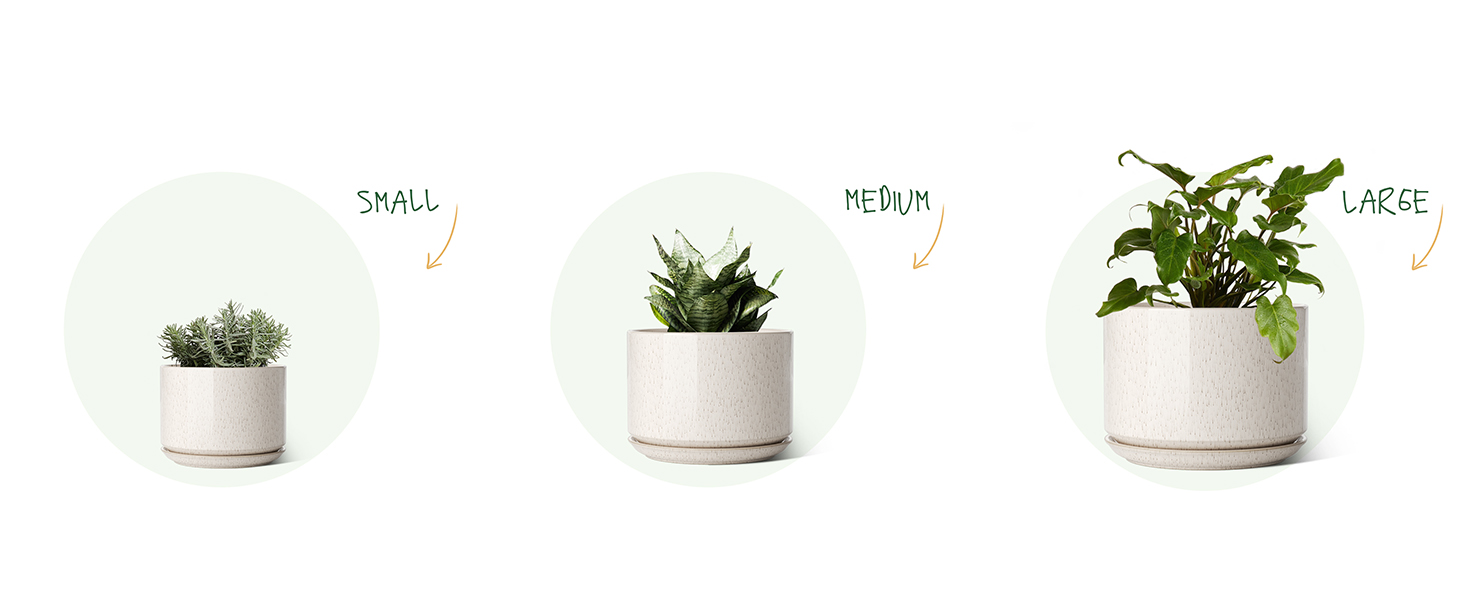 3 шт. керамічні горщики для квітів LE TAUCI, діаметр 11+13+17 см, з підставкою та дренажним отвором, для кімнатних рослин, бежевий, реактивна глазур