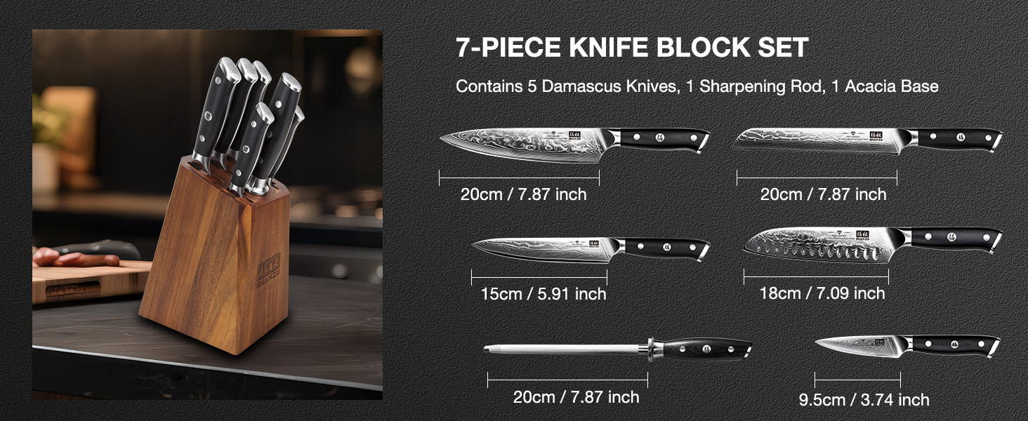 Набір кухонних ножів SHAN ZU PRO Series з дамаської сталі (67 шарів) з ручкою G10, 20 см (набір з бруском)