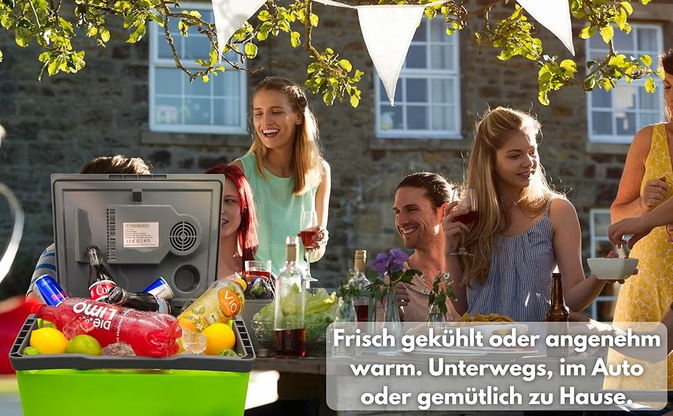 Термобокс-холодильник електричний 30л Gora Grey/Gilmo Green для авто, кемпінгу, пікніка