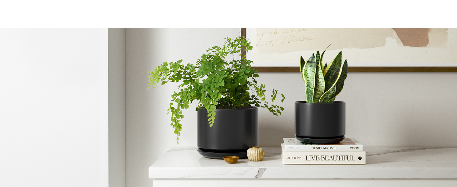 Набір горщиків для квітів LE TAUCI 3шт, кераміка, 11/13/17 см, з підставками та дренажними отворами, реактивна глазур, бежевий (чорний)