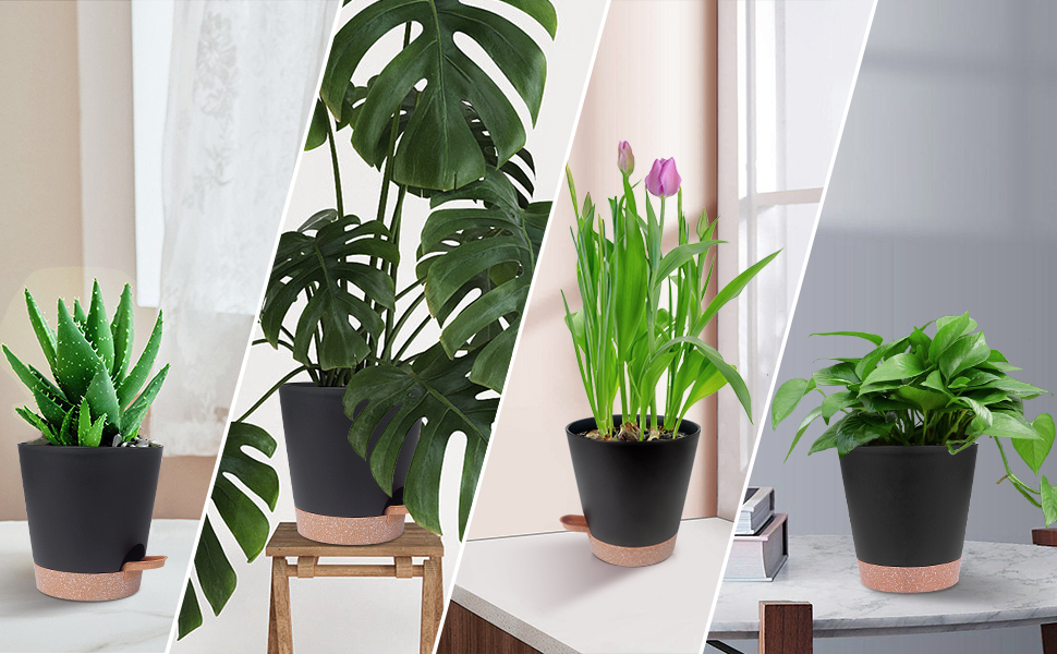 5 горщиків з пластику з системою поливу, 17.8/16.5/15.2/13.9/12.7 см. Самополивні кашпо з підставкою, круглі горщики для квітів, сукулентів, кактусів, кімнатних рослин, балкона та саду, зелені (чорний, коричневий)