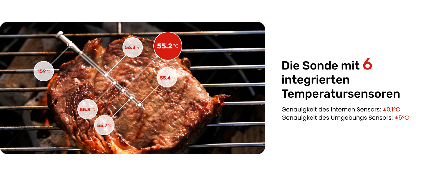 Smart термометр для м'яса Meatmeet X Pro з Bluetooth та Wi-Fi, 2 зонди, 6 сенсорів, нержавіюча сталь, IP69, до 582°C, для гриля, духовки, фритюрниці