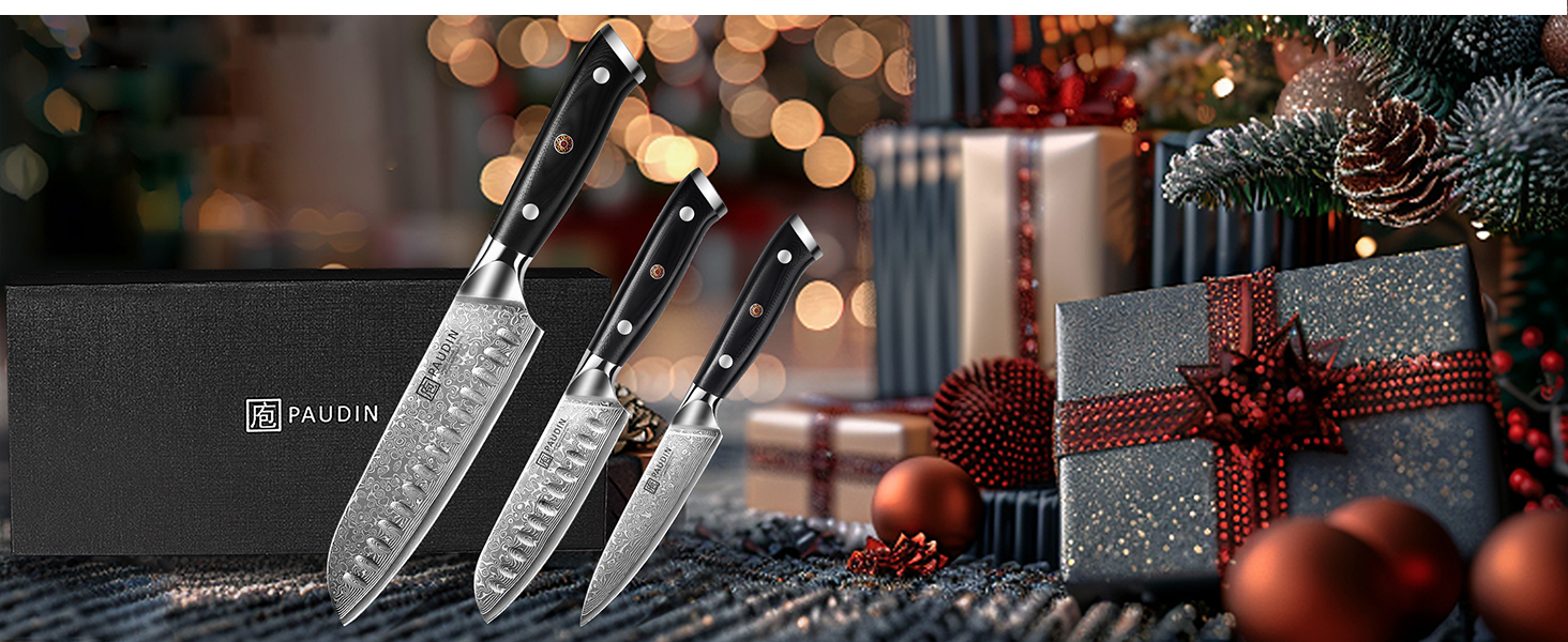 Набір кухонних дамаскових ножів PAUDIN, 3 предмети, ультрагострий Santoku з 67-шарової дамаської сталі з японським VG10 ядром, ергономічна ручка G10