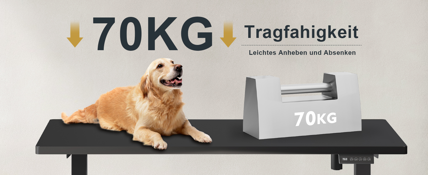 Електричний регульований стіл Flamaker з телескопічною основою (чорний) з пам'яттю