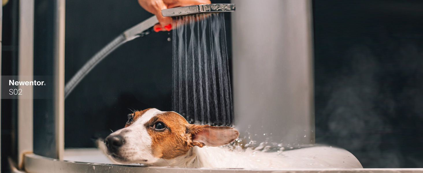 Насадка для душу Newentor Regendusche [TESTSIEGER], велика ручна лійка, водозберігаюча, високого тиску, XXL з 6 режимами струменя (без шлангу), матова чорна (Duschkopf, без шлангу)