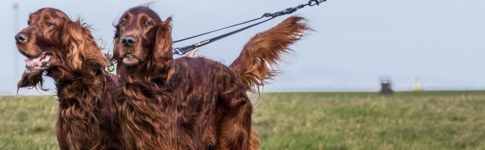 Подвійний повідець для собак Sweetie, без сплутування, подвійний повідець для вигулу, 291 г подвійний повідець для собак