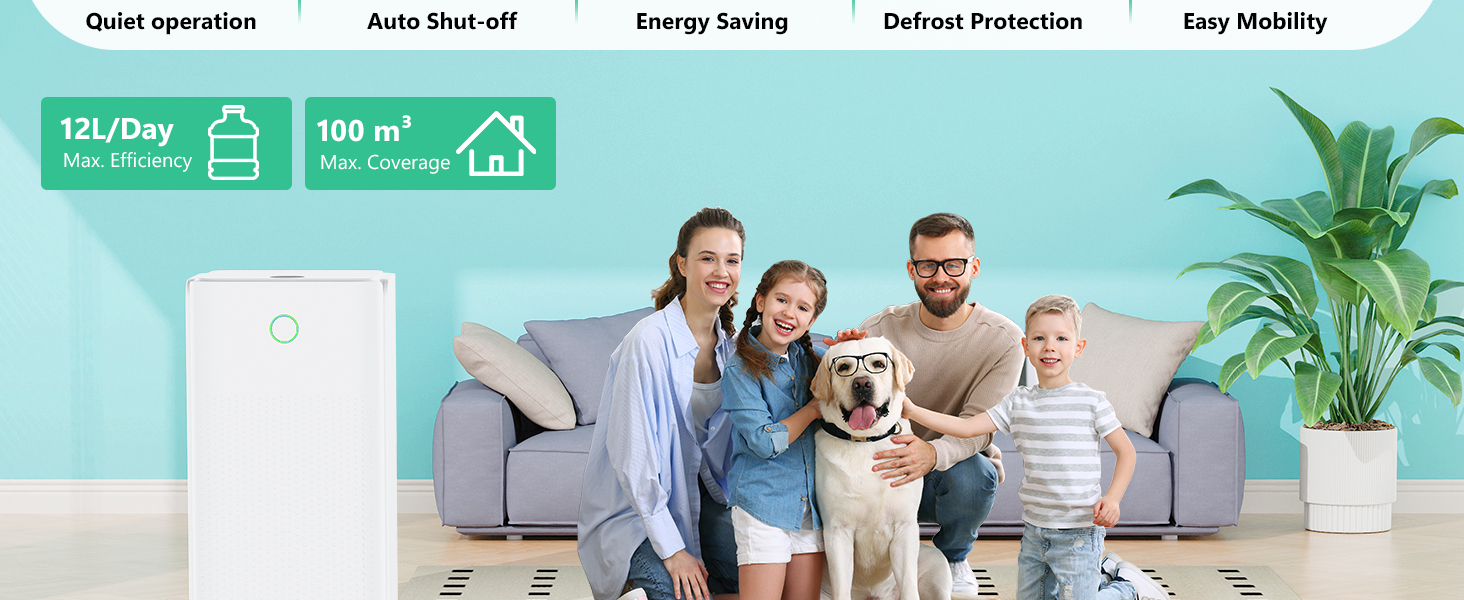 Електричний осушувач повітря 12л/день, тихий осушувач для дому, квартири, підвалу з 3 режимами, таймером 24г, автоматичною відтайкою та енергозбереженням