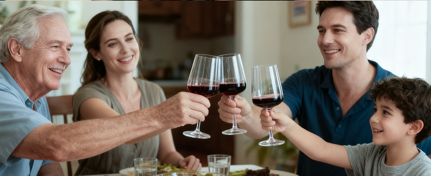 Набір келихів для вина PROST! 6 шт. 491 мл, без свинцю, для червоного вина, вечірок та компаній