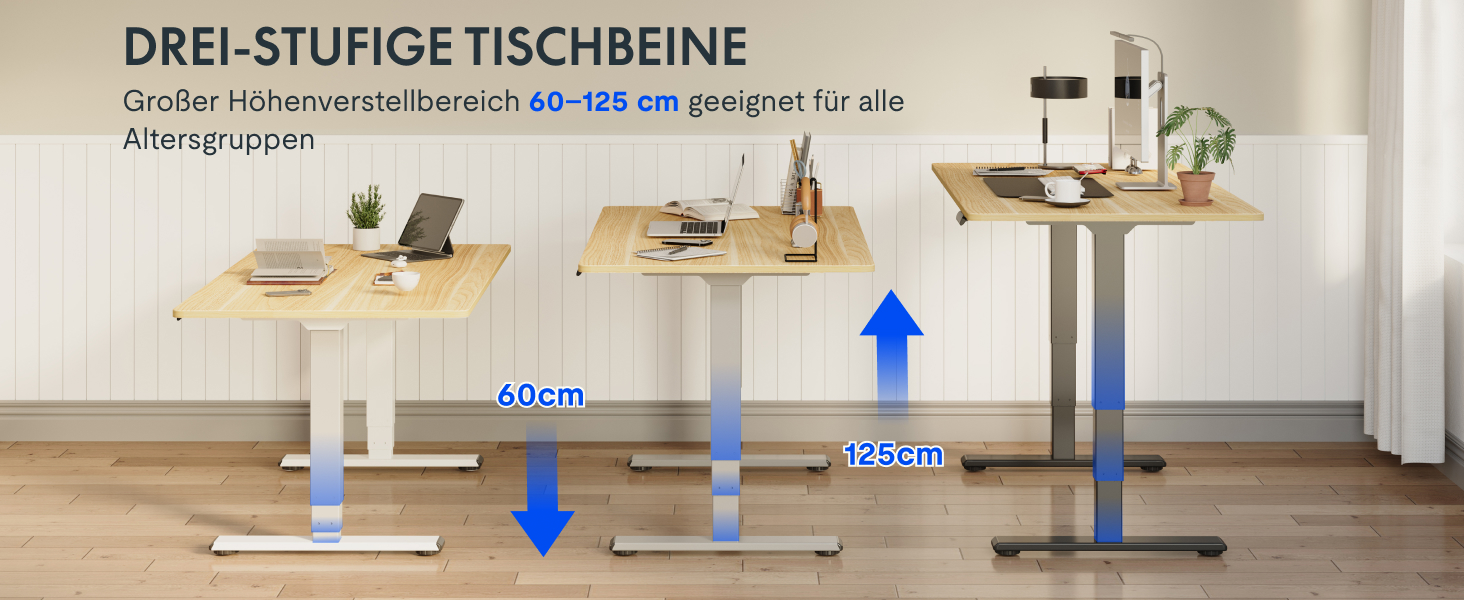 Електричний регульований стіл FLEXISPOT 120x80 см з подвійним мотором - ергономічний стоячий стіл для дому та офісу, 100 кг, тиха робота (<50 дБ), сірий + чорний