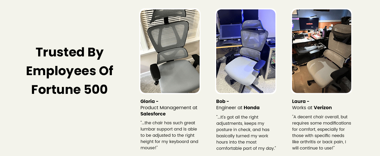 Крісло офісне ProtoArc EC100 чорне з підлокітниками та регульованою спинкою, Mesh, для дому та офісу