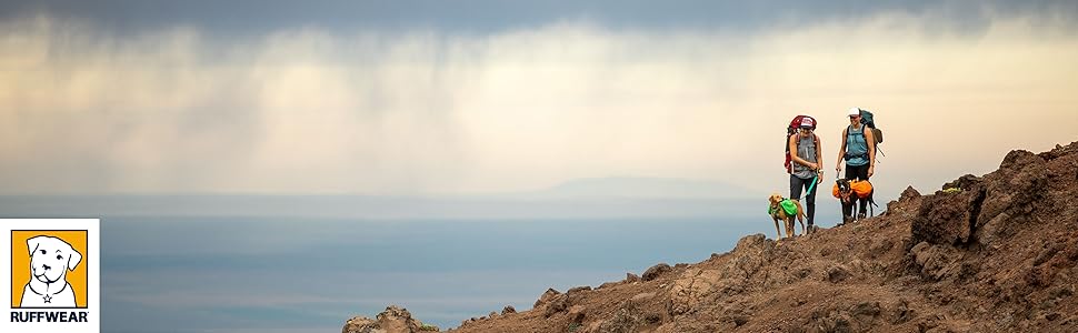 Повідець для собак з оборками, який можна тримати в руці або носити на стегні, світловідбиваючий і регульований Повідець, з морської піни Seafoam