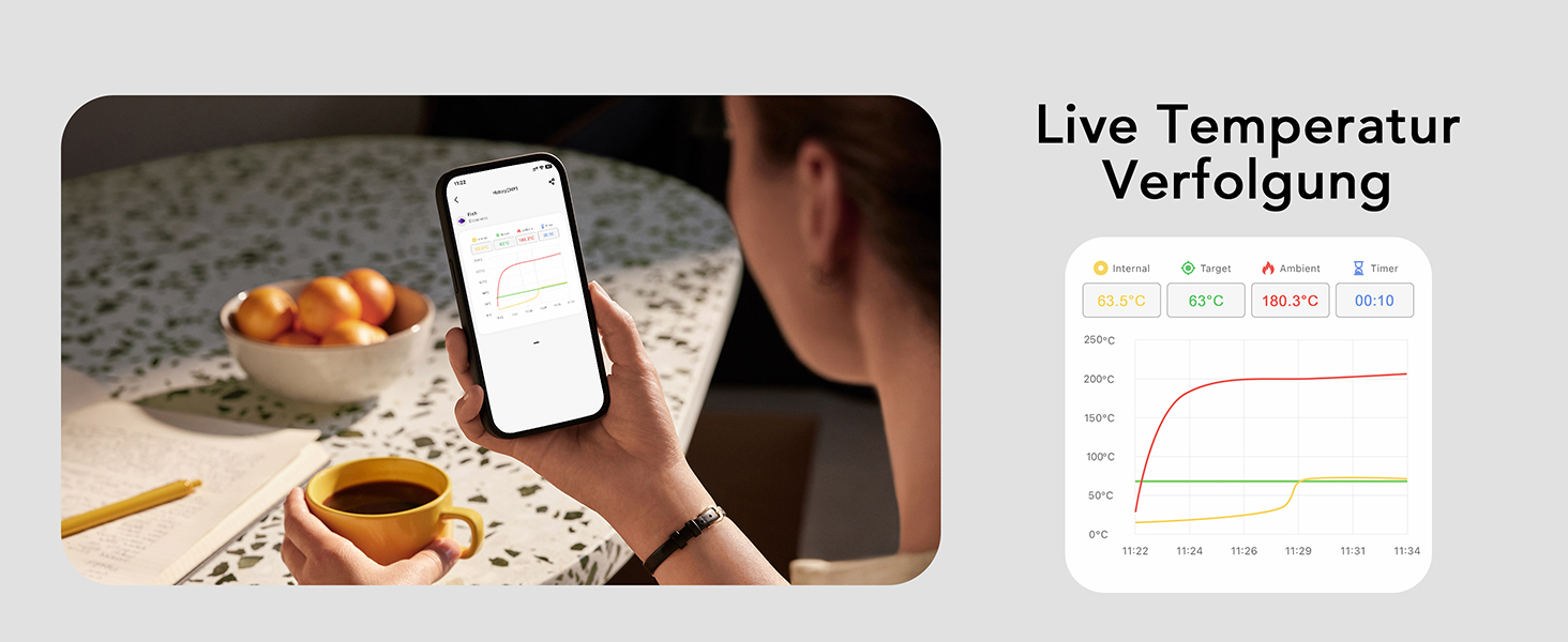 Термометр для м'яса BFOUR WiFi з Bluetooth, 6 сенсорів, з App-керуванням, бездротовий, для гриля та запікання