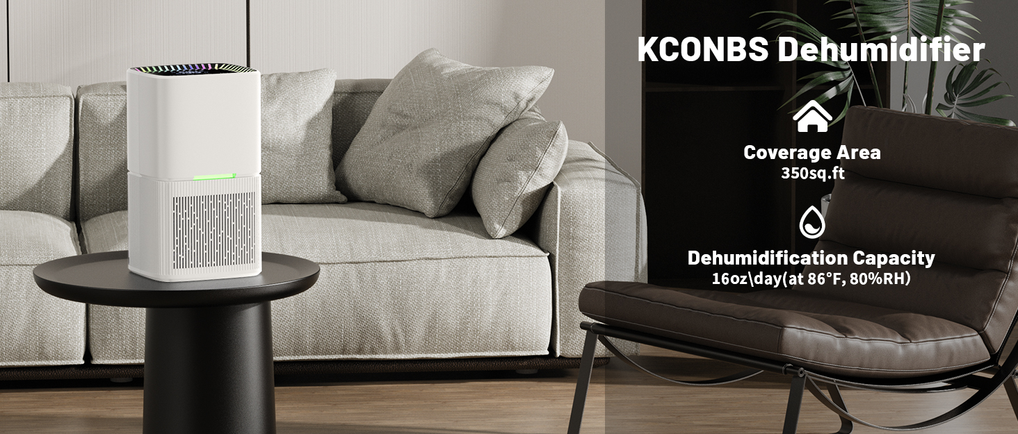 Електричний осушувач повітря 1800 мл з автоматичною відтайкою, LED-дисплеєм, таймером та LCD-екраном, 610 мл/день, для ванної кімнати та спальні