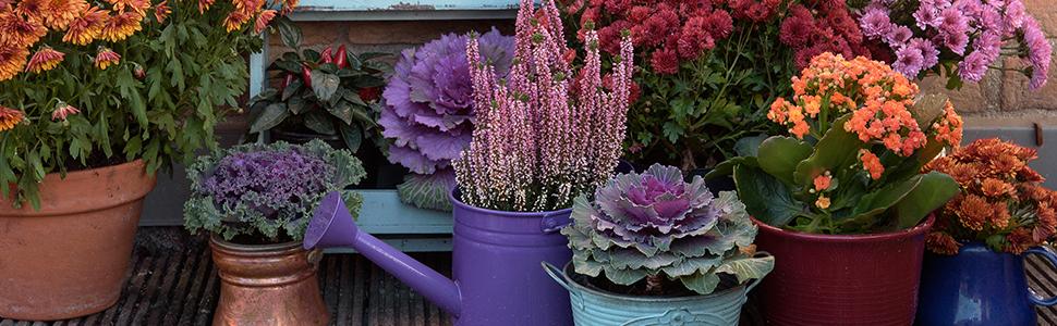 Набір з 2 дерев'яних вагончиків для квітів Relaxdays, 12.5 x 26 x 12 см, декор для саду