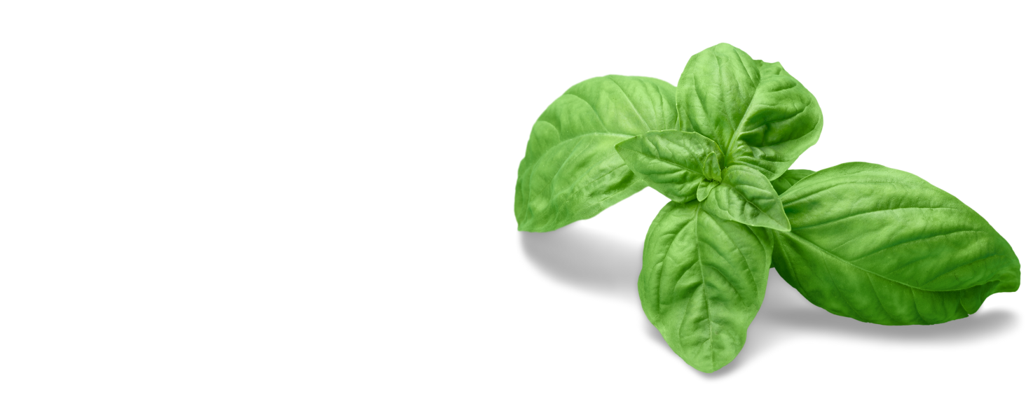 Набір скляних банок для зберігання з кришкою, 4 шт. (300, 500, 700, 1000 мл) | Герметичні, захищені від молі | Для спецій та продуктів харчування