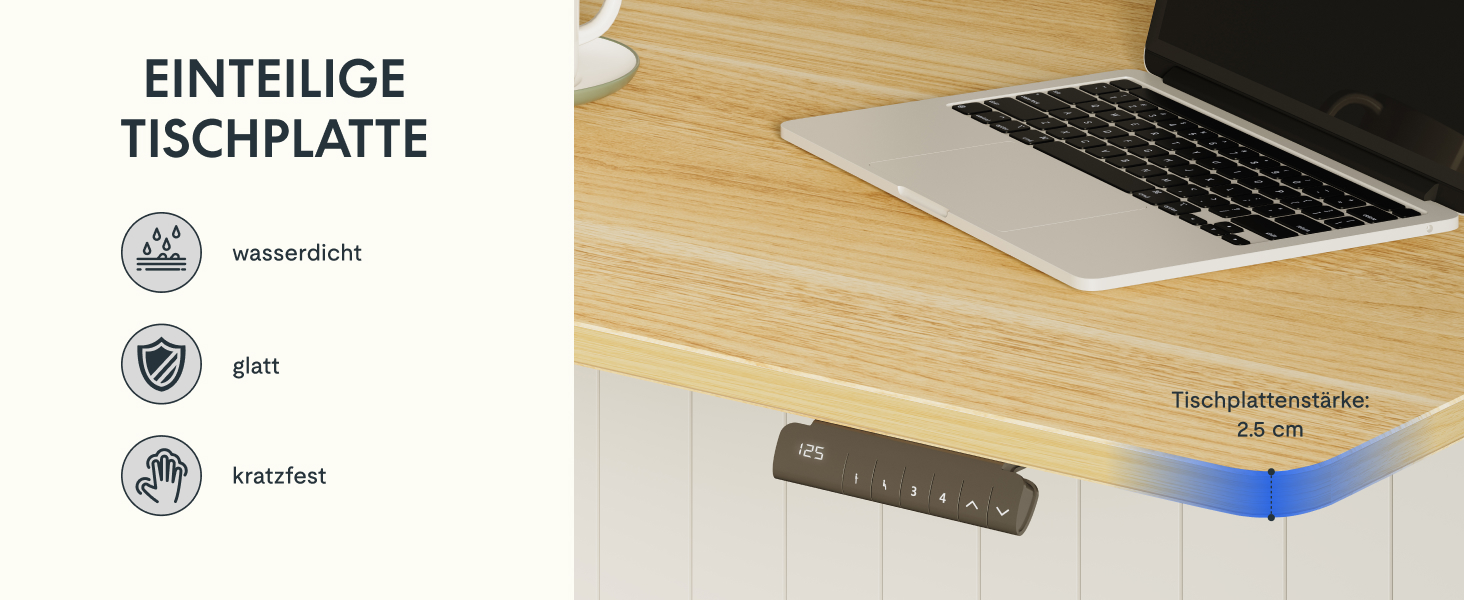 Електричний регульований стіл FLEXISPOT 120x80 см з подвійним мотором - ергономічний стоячий стіл для дому та офісу, 100 кг, тиха робота (<50 дБ), сірий + чорний