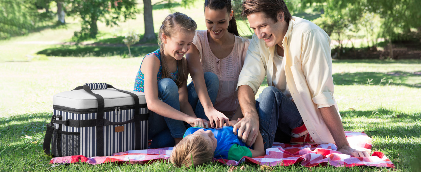 Термосумка-холодильник Lifewit 30л для пікніка, їжі та напоїв (Blaugrau Gestreift)