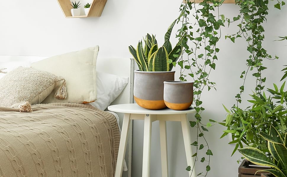 Набір керамічних горщиків Olly & Rose Gold Dip: 17 см + 12 см, для дому та саду, золотий декор