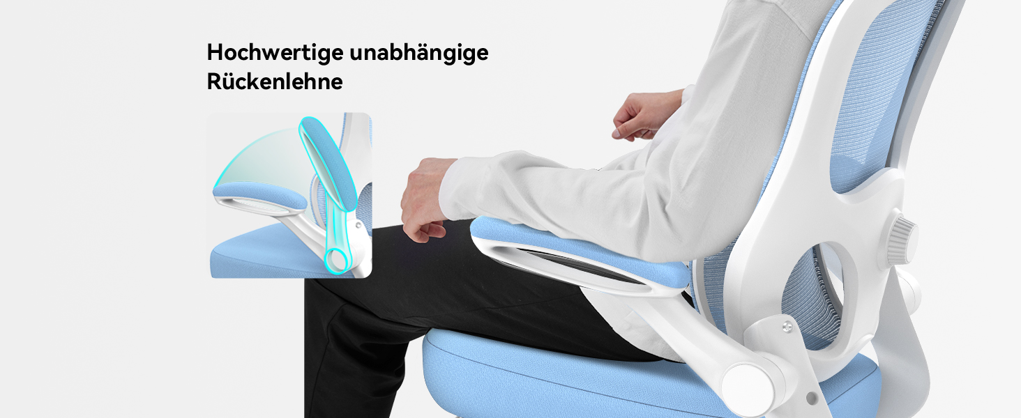Ергономічне крісло Aevoriax N56 для офісу, з підтримкою попереку, м'яке сидіння, регульована підголовник, велике (Блакитний)