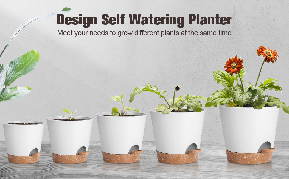 5 шт. пластикові горщики для квітів з системою поливу, 17.8/16.5/15.2/13.9/12.7 см. Самополивні кашпо з підставкою, круглі горщики для квітів, сукулентів, кактусів, кімнатних рослин, балкона та саду, зелені (білий, коричневий)