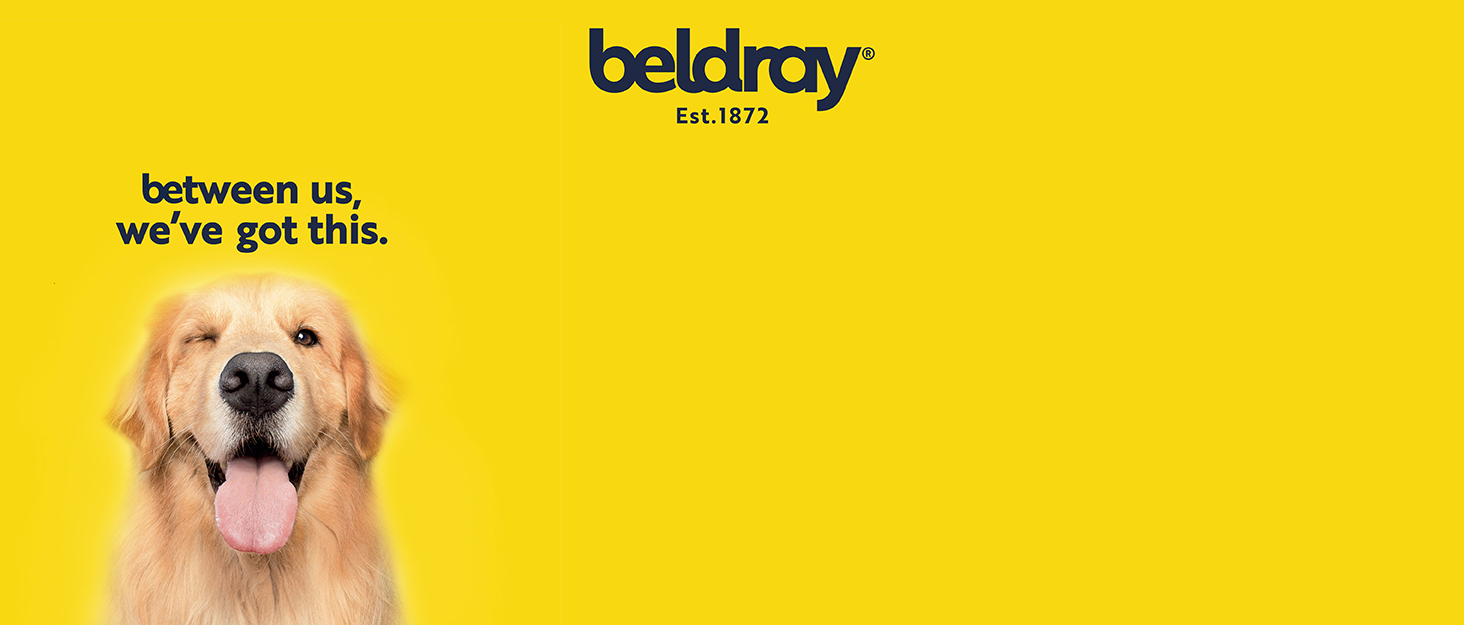 Праска Beldray 2-в-1 бездротова з парою, керамічна підошва, 2600 Вт, антикальцій, резервуар 230 мл, база для зарядки 360°