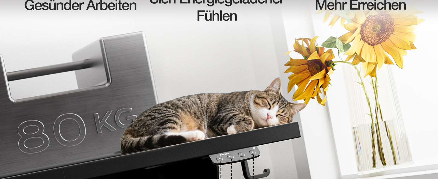 Електричний стіл з регулюванням висоти 120x60 см з функцією пам'яті, для офісу та дому. Комп'ютерний стіл, система кабельного менеджменту, гачки, білий колір. (Чорний, 140см)