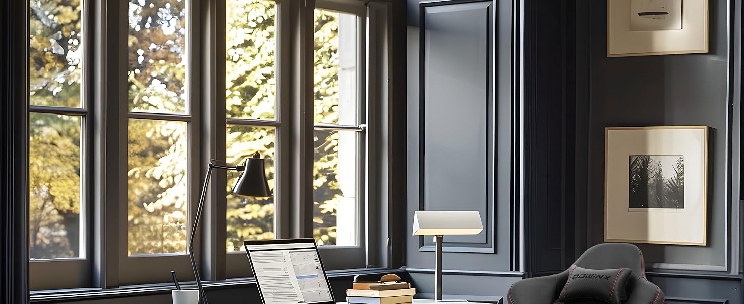 Ігровий крісло Dowinx з регульованою підніжкою, масажним поперековим валиком та офісним комфортом, до 200 кг, кут нахилу спинки 165°, чорний