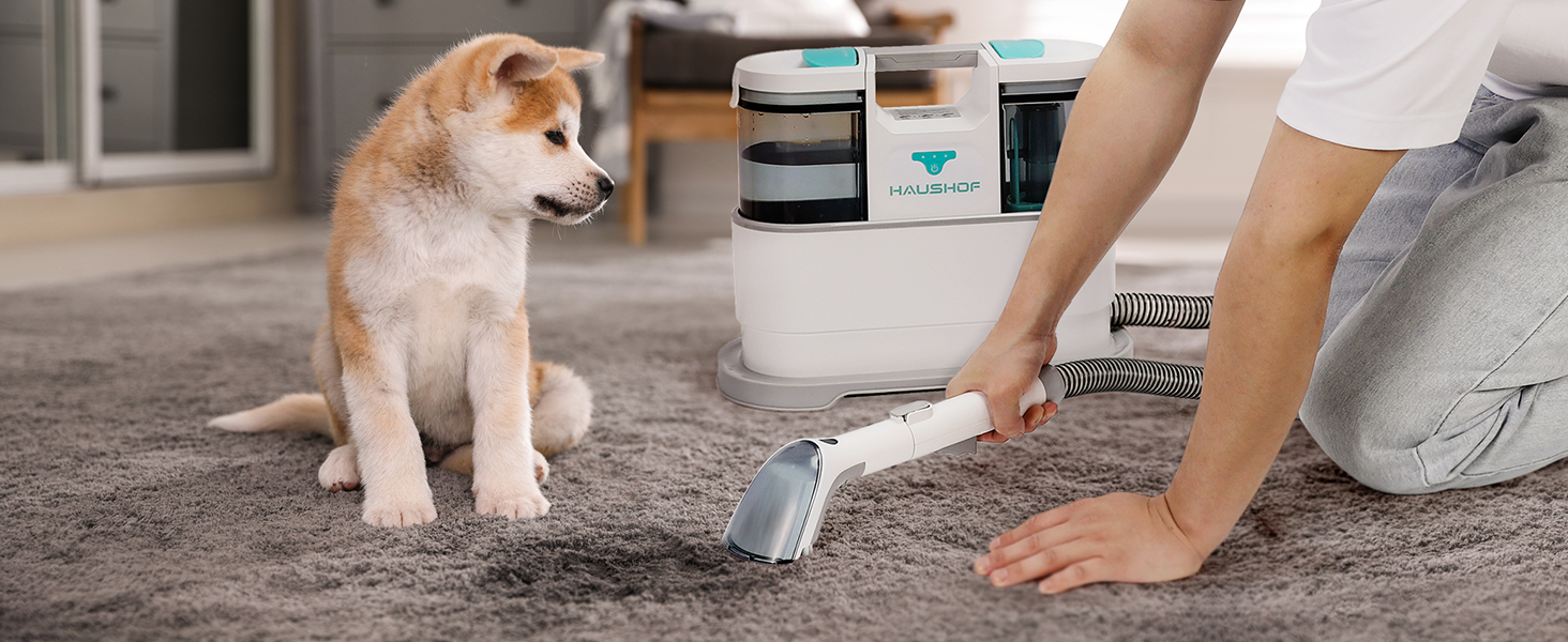 HAUSHOF StainZapper Pro: мийка для килимів та меблів, 450W, 12kPa, 1.5+0.8L, з миючим засобом та щіткою для швів. Ефективний видалення плям з килимів, диванів, меблів та авто.