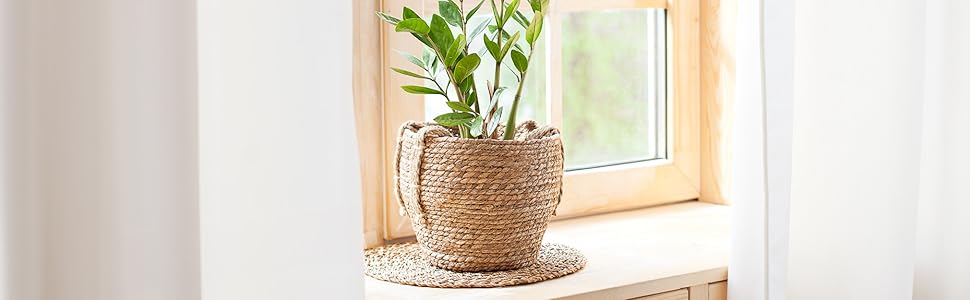 Набір горщиків для квітів Paco Home з ротангу (3 шт.) з підкладкою, великий, для кімнатних рослин, колір: натуральний