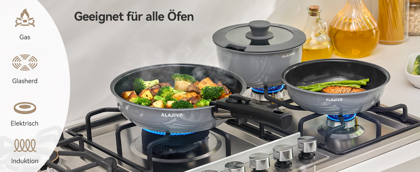 Набір посуду 9-ти частинний з знімним ручками, антипригарне покриття, для всіх типів плит, включаючи індукційні, сумісний з духовкою (сірий)