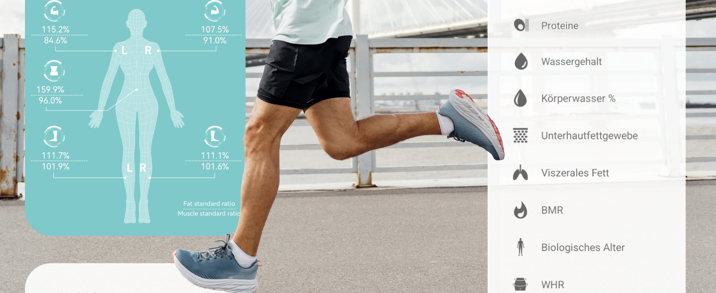 Вага для тіла LEBENLANG з датчиками рук - Великий дисплей & підключення до програми | 29 показників до 180 кг | Аналіз складу тіла (жир, м'язи)