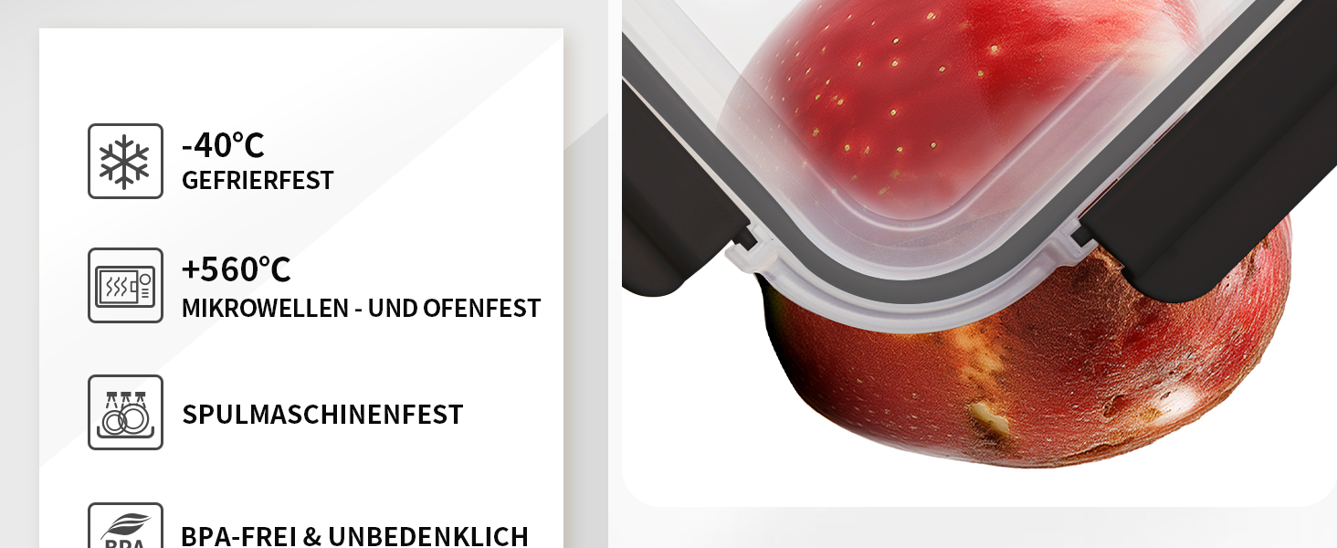 Набір контейнерів для зберігання продуктів FE1537-чорний (20 шт.): контейнери + кришки, миюча посуду, для мікрохвильовки та морозильника, герметичні